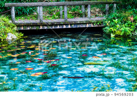 岐阜県関市　モネの池 94569203