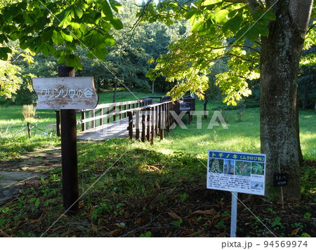 野草園　山形市 94569974