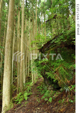 赤石(世界遺産黒河道) 【和歌山県橋本市】 赤石(世界遺産黒河道) 【和歌山県橋本市】 94571073