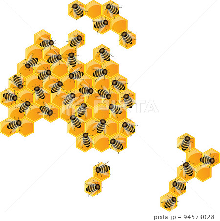 Vector image of the outline of the continents and continents in the form of honeycombs. The concept of development in different areas within the country. Australia 94573028