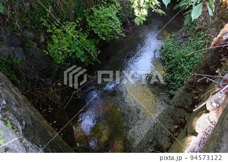 小田原早川上水 94573122