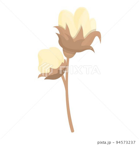 Natural cotton icon cartoon vector. Organic plant. Art plant 94573237