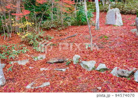 秋の神戸市・瑞宝寺公園で見た、真っ赤な落ち紅葉で埋め尽くされた庭園 秋の神戸市・瑞宝寺公園で見た、真っ赤な落ち紅葉で埋め尽くされた庭園 94574070
