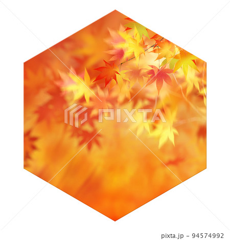 紅葉のフレーム素材 94574992