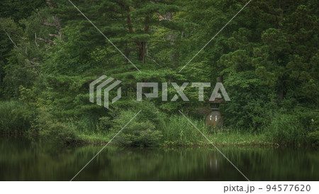山形県 大沼の浮島の深緑 94577620