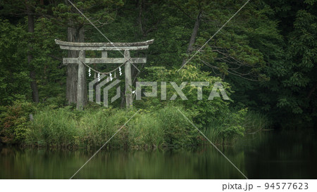山形県 大沼の浮島の深緑 94577623