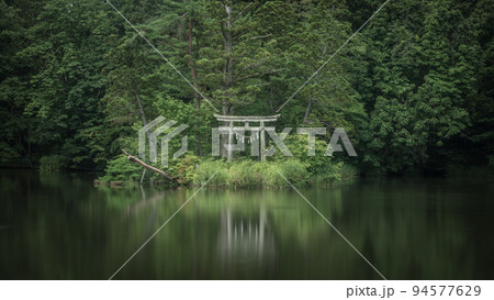 山形県 大沼の浮島の深緑 94577629