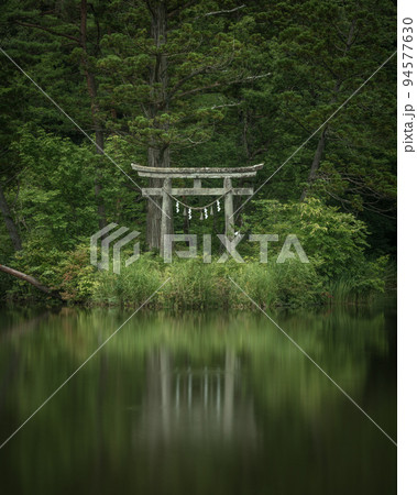 山形県 大沼の浮島の深緑 山形県 大沼の浮島の深緑 94577630