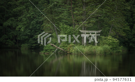 山形県 大沼の浮島の深緑 山形県 大沼の浮島の深緑 94577631