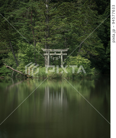 山形県 大沼の浮島の深緑 山形県 大沼の浮島の深緑 94577633