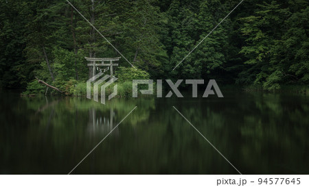 山形県 大沼の浮島の深緑 山形県 大沼の浮島の深緑 94577645