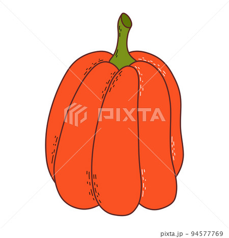 Cute pumpkin. Thanksgiving and halloween element. Vector illustration in hand drawn style Cute pumpkin. Thanksgiving and halloween element. Vector illustration in hand drawn style 94577769
