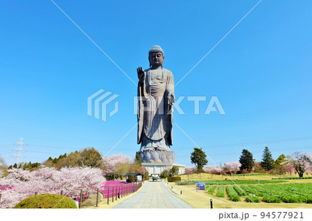 茨城県 春の青空と牛久大仏 茨城県 春の青空と牛久大仏 94577921