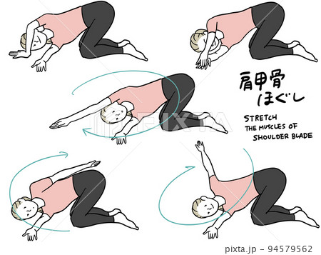 猫背改善ストレッチ 94579562