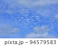 青空に浮かぶ鱗雲 94579583