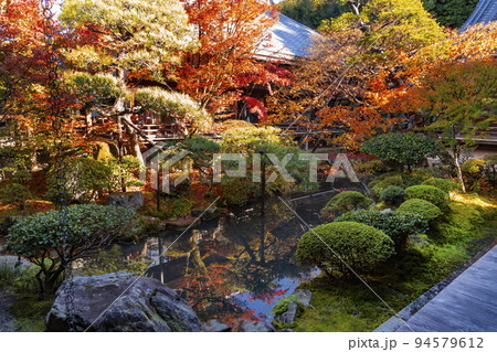 永観堂 禅林寺 釈迦堂の中庭 永観堂 禅林寺 釈迦堂の中庭 94579612