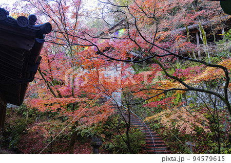 永観堂 禅林寺 御影堂から見上げた開山堂 永観堂 禅林寺 御影堂から見上げた開山堂 94579615