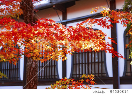 永観堂 禅林寺　鶴寿台 94580314