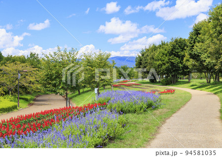 馬見丘陵公園　満開の夏の花々 94581035