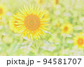 ひまわり 94581707