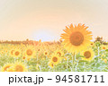 ひまわり 94581711