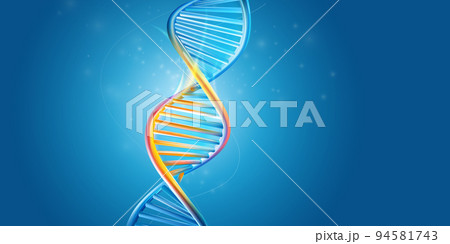 DNA molecule structure on a blue background. 94581743