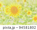 ひまわり 94581802