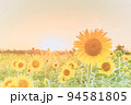 ひまわり 94581805