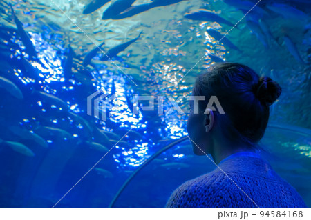 Woman looking at fish vortex in large public aquarium tank at oceanarium Woman looking at fish vortex in large public aquarium tank at oceanarium 94584168