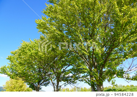 三笠市運動公園にある風景 94584228