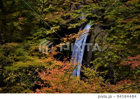 徳島県の大釜の滝の紅葉 94584484