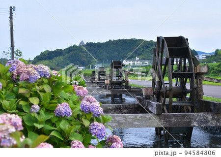紫陽花と水車のある風景 紫陽花と水車のある風景 94584806