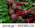 Close up heap of fresh new red beet bunches 94586126