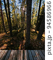 Eco path wooden walkway in the forest. Ecological trail path. Wooden path in the National reserve Crayfish lakes 94586966
