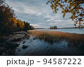 Island in Monrepo Mon Repos park. Pampas grass. Autumn landscape. Vyborg 94587222