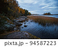 Island in Monrepo Mon Repos park. Pampas grass. Autumn landscape. Vyborg 94587223