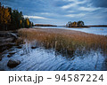 Island in Monrepo Mon Repos park. Pampas grass. Autumn landscape. Vyborg 94587224