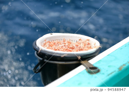 海釣り(アミエビ) イメージ 海釣り(アミエビ) イメージ 94588947