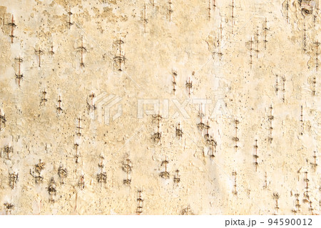The texture of birch bark. Background of birch 94590012