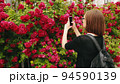 Young Caucasian women in glasses taking picture of red rose. 94590139
