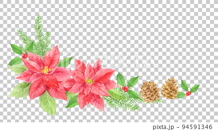 クリスマスイメージの装飾　ポインセチアの水彩イラスト　アナログ手描き　背景透過 94591346