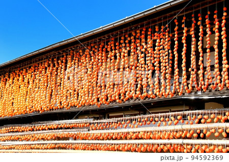 干し柿の里 94592369