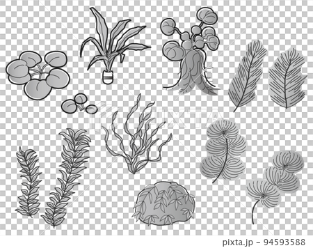 水草のイラストセット アクアリウム 水槽(白黒) 水草のイラストセット アクアリウム 水槽(白黒) 94593588