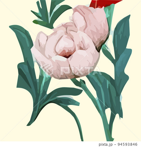 Vintage card with colorful flowers. Vector illustration. Beautiful tropical plants bouquet on a beige background. Herbs and wildflowers. Botany. Set of floral elements for your compositions 94593846