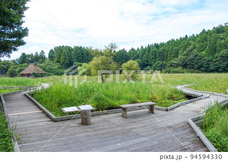 中池見湿地 福井県敦賀市 中池見湿地 福井県敦賀市 94594330
