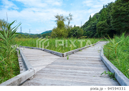 中池見湿地 福井県敦賀市 中池見湿地 福井県敦賀市 94594331