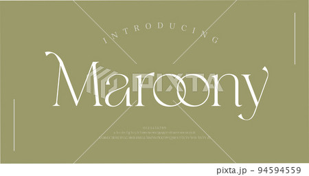 Luxury alphabet letters font. Typography Elegant classic serif fonts and number decorative logo wedding vintage retro concept. vector illustration 94594559