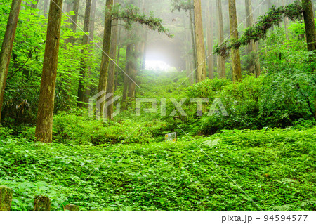 神秘的な神社「パワースポット・本堂から観た風景」上色見熊野座神社(阿蘇郡高森町上色見) 神秘的な神社「パワースポット・本堂から観た風景」上色見熊野座神社(阿蘇郡高森町上色見) 94594577