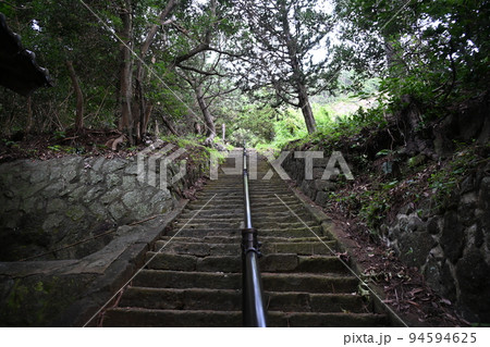 静岡県松崎市雲見の浅間雲見神社の木々の中の参道 静岡県松崎市雲見の浅間雲見神社の木々の中の参道 94594625