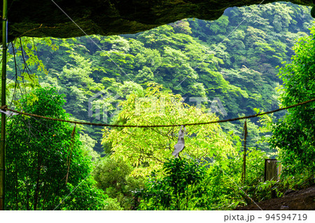 神秘的な神社「パワースポット・本堂から天空扉風景」上色見熊野座神社(阿蘇郡高森町上色見) 神秘的な神社「パワースポット・本堂から天空扉風景」上色見熊野座神社(阿蘇郡高森町上色見) 94594719